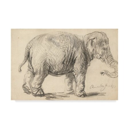 Rembrandt 'An Elephant 1637 ' Canvas Art,22x32